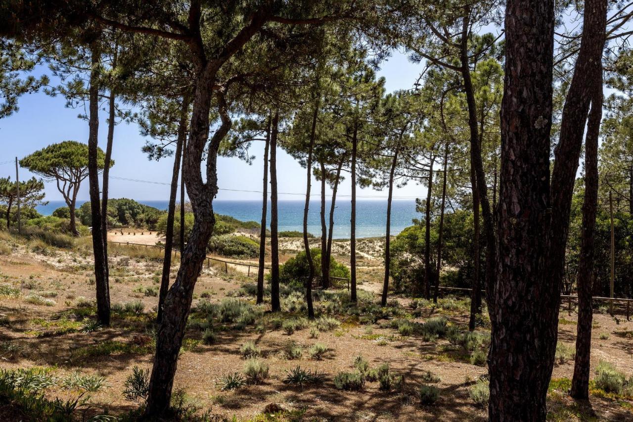 Sunny Acacia * Vale do Lobo