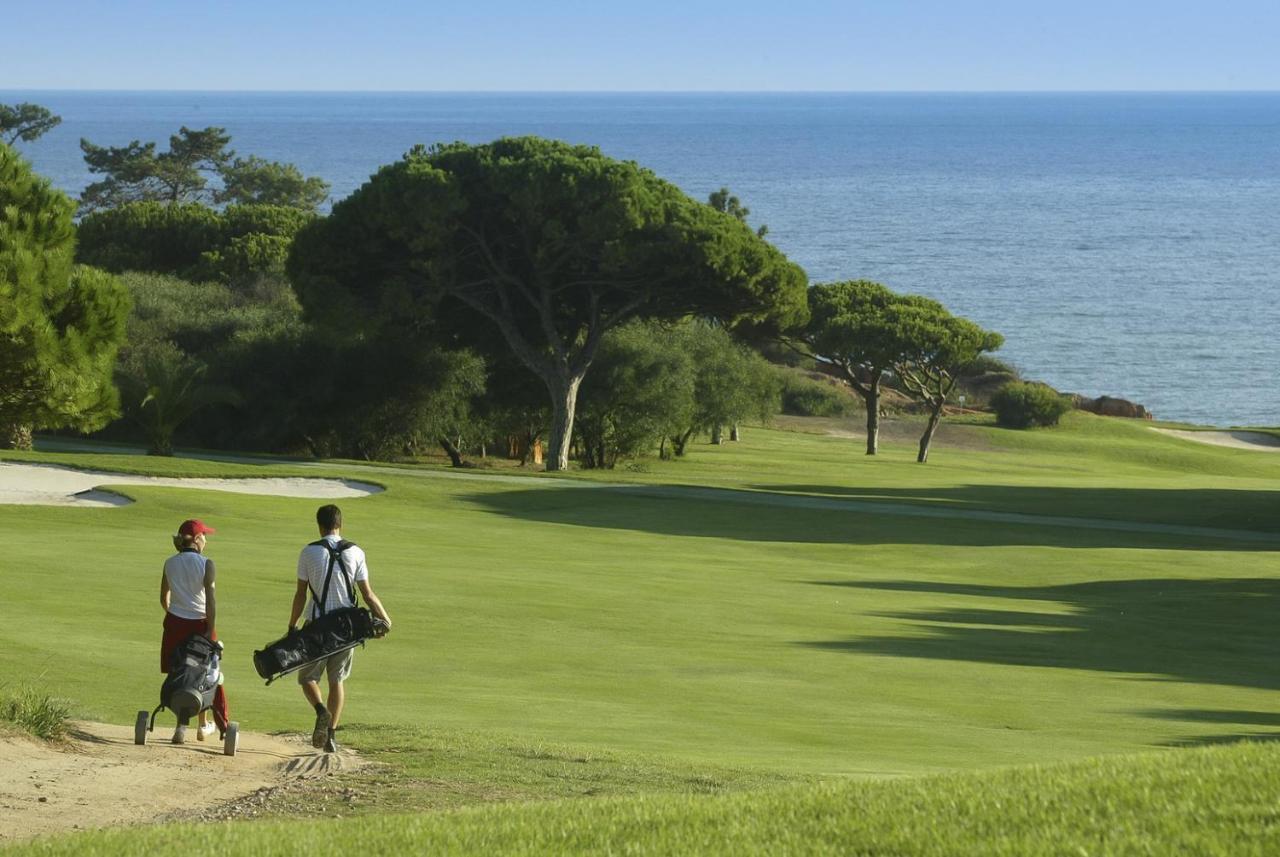 Sunny Acacia Vale do Lobo
