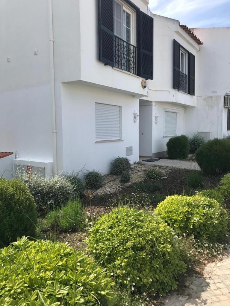 Sunny Acacia * Vale do Lobo